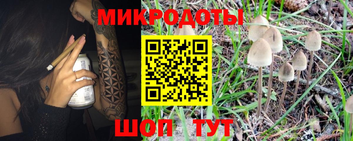 Кузнецк  Псилоцибиновые грибы Psilocybine cubensis  Вход с VPN 
