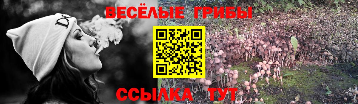 Галлюциногенные грибы мухоморы Кузнецк